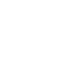 Açaí Fruit Show